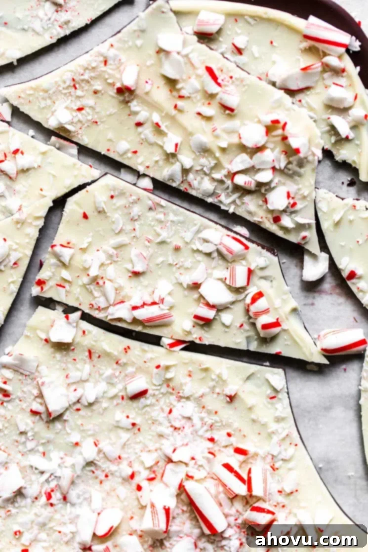 A baking pan filled with numerous broken pieces of peppermint bark, each adorned with a generous scattering of vibrant crushed candy canes, showcasing the festive holiday treat.