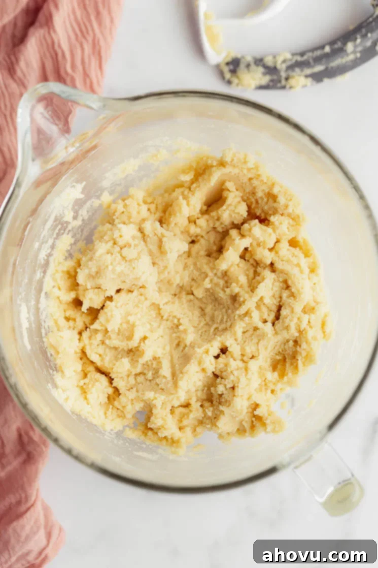 Freshly prepared, unchilled sugar cookie dough in a glass mixing bowl, with a stand mixer beater, highlighting the smooth and pliable consistency perfect for baking easy sugar cookies.