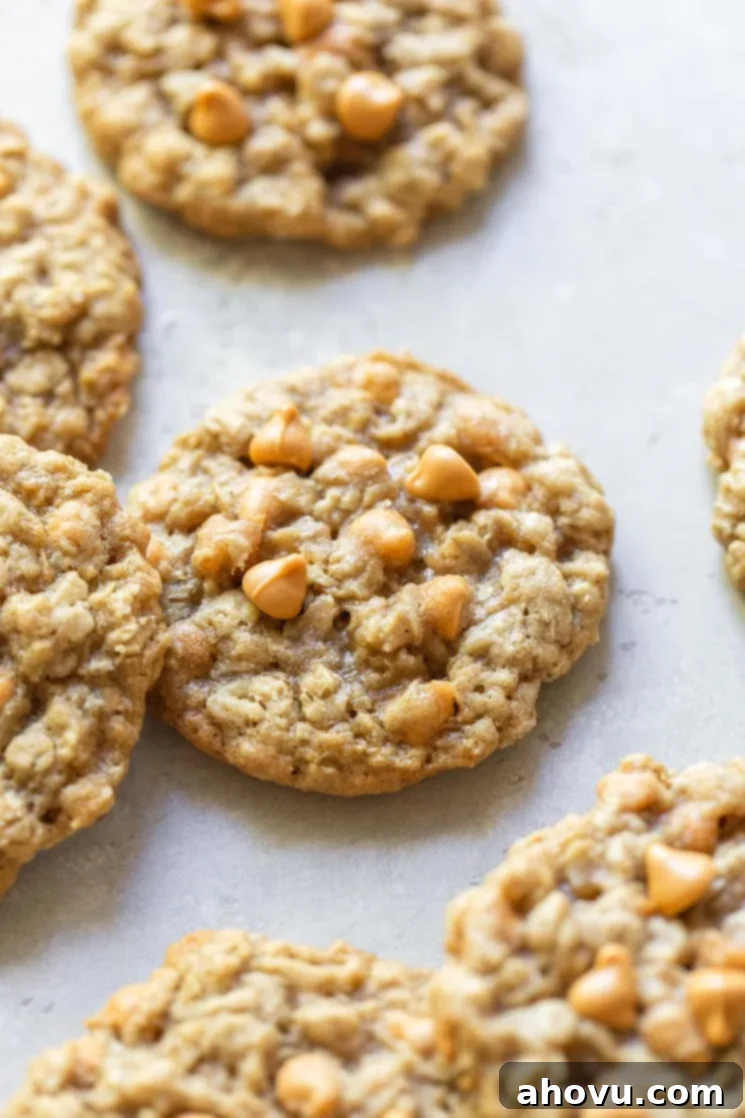 Baked oatmeal scotchies scattered on a rustic gray surface. 
