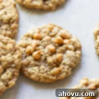 Oatmeal Scotchies on top of a rustic gray surface.