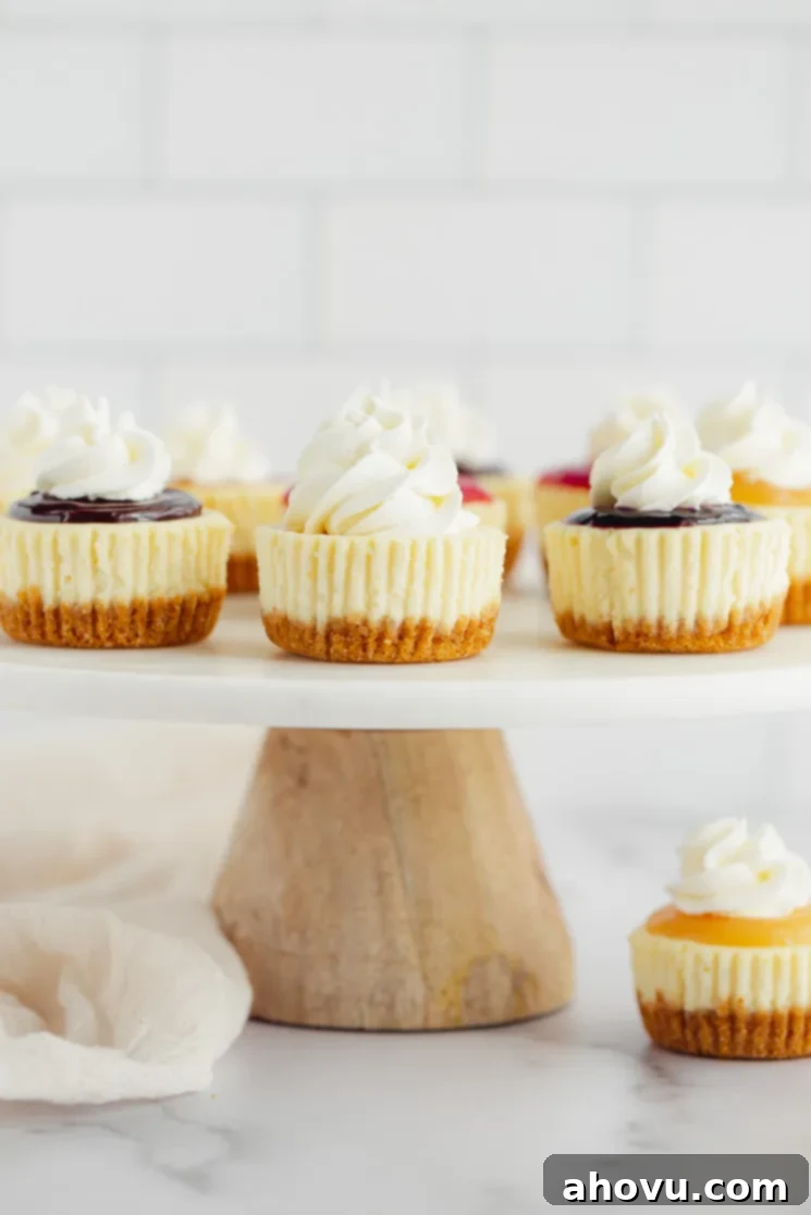 A marble cake stand displaying mini cheesecakes with multiple different toppings on them.