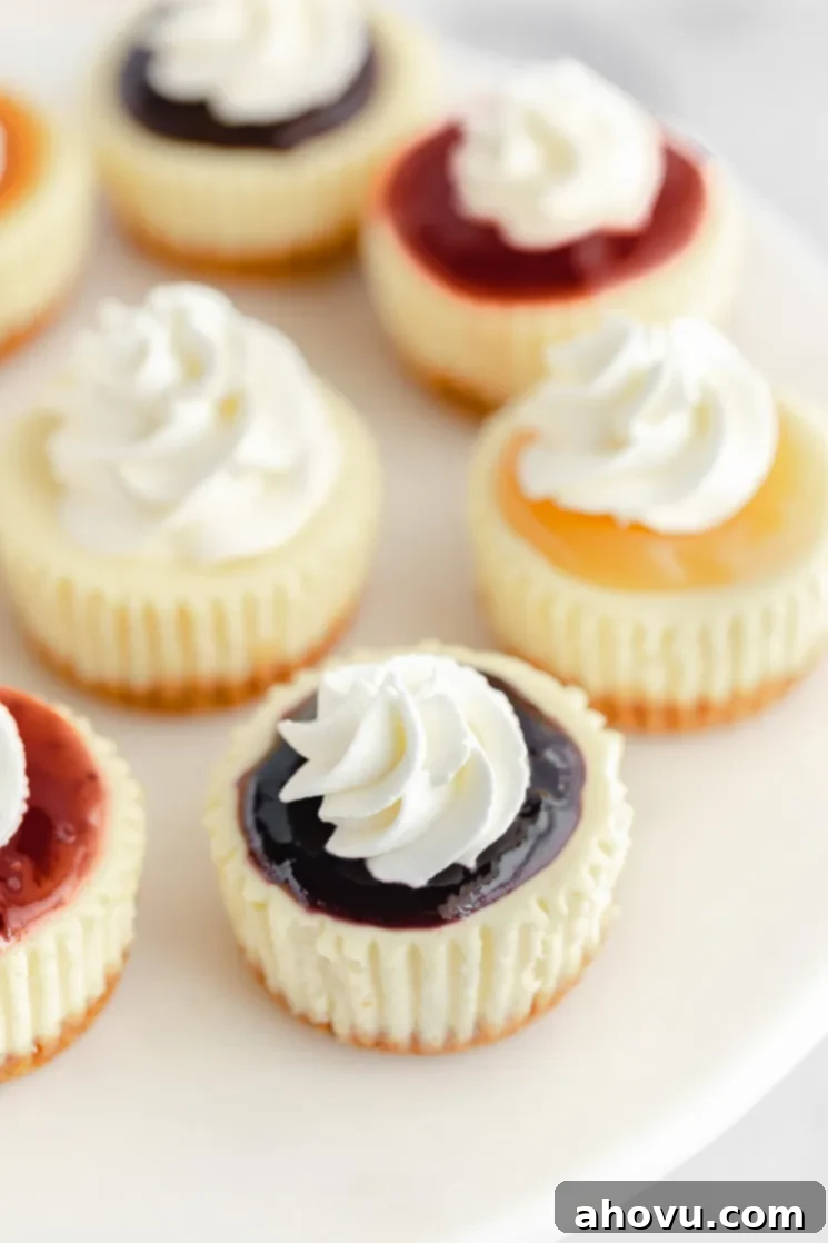 A close up image of mini cheesecakes showing the different toppings on them.