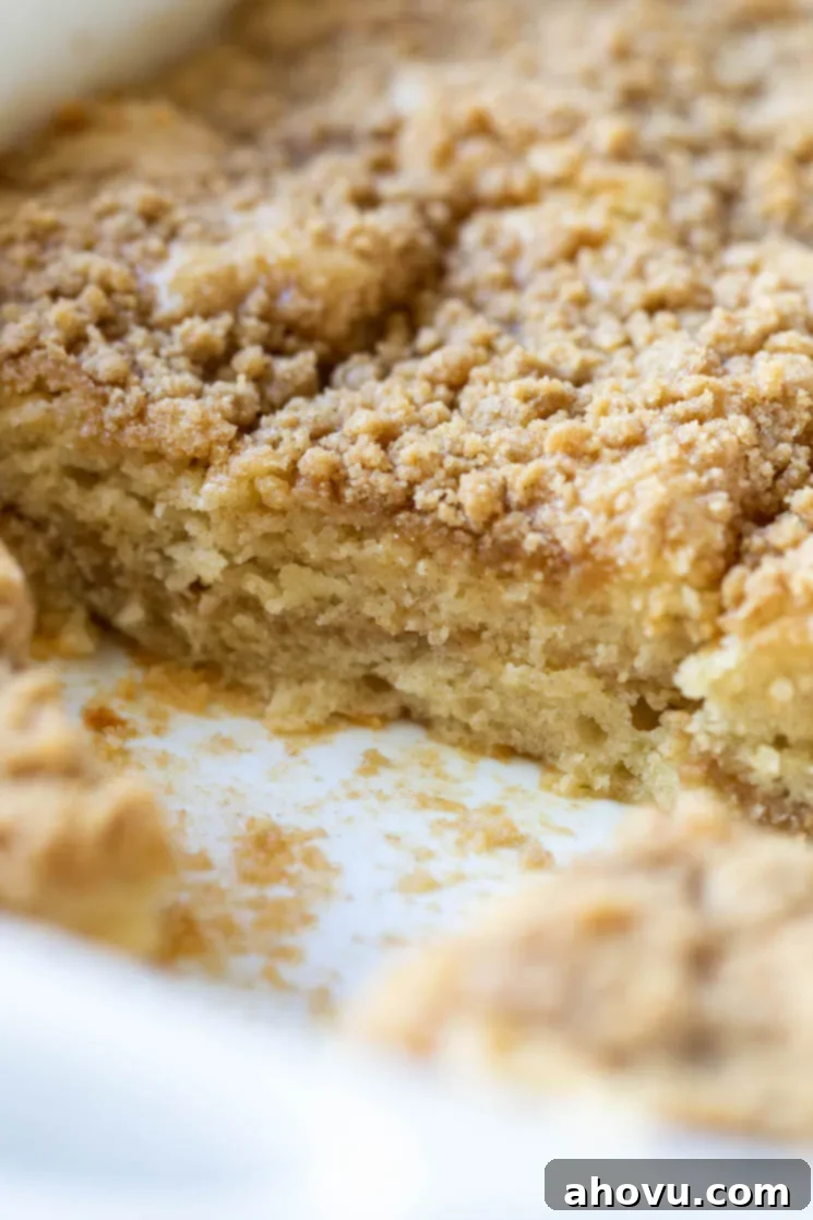 The finished cake still in the baking dish with some pieces removed to show the cake and streusel layers.