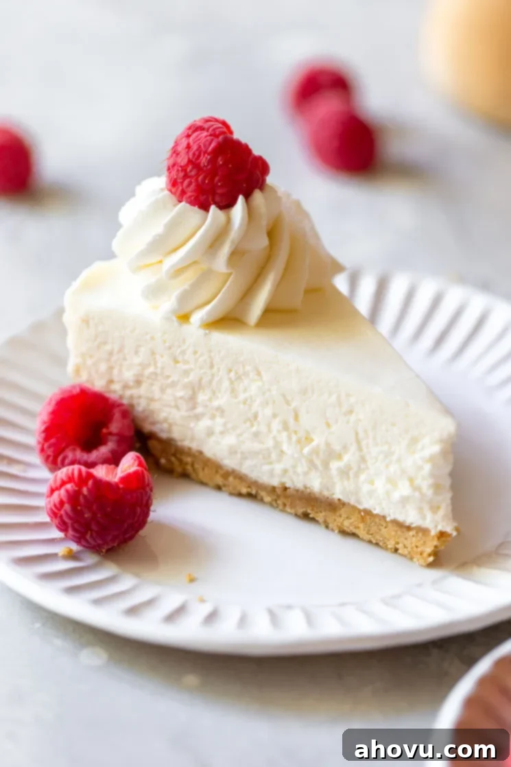 A single slice of no-bake cheesecake on a white plate topped with whipped cream and raspberries.