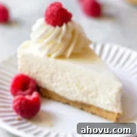A single slice of no-bake cheesecake on a white plate topped with whipped cream and fresh raspberries.