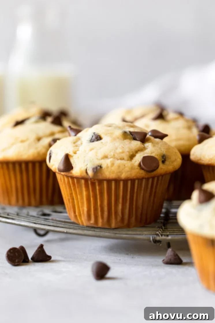 A group of golden-brown chocolate chip muffins cooling on a round antique cooling rack, showcasing their perfectly domed tops and visible chocolate chips.