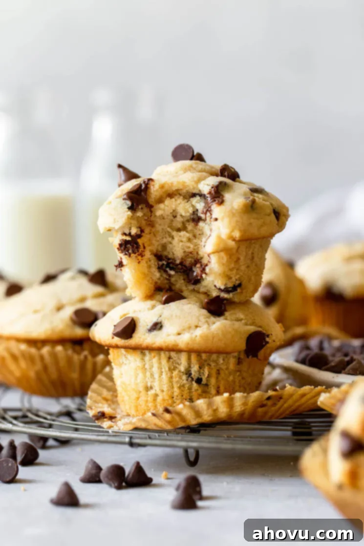 Two perfectly baked chocolate chip muffins stacked on a cooling rack, with a bite taken out of the top muffin revealing its moist, tender crumb and abundant chocolate chips.