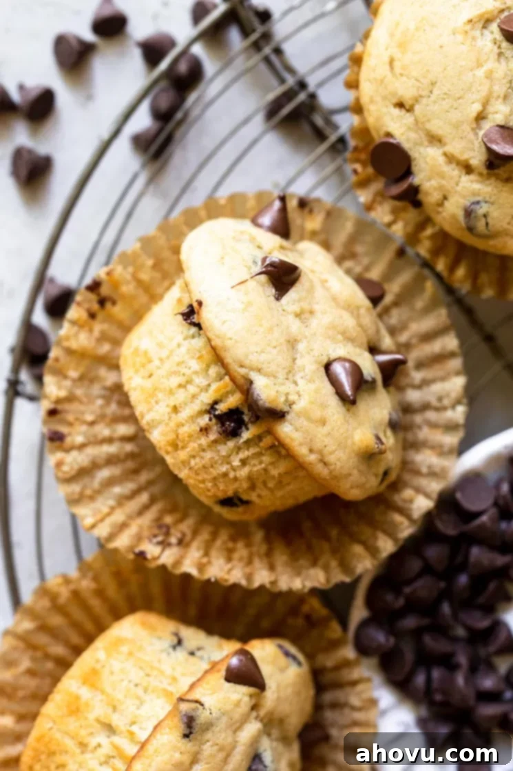 A single, perfectly baked chocolate chip muffin, removed from its liner, rests on its side on an antique round cooling rack, showcasing its moist interior.