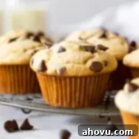 Several golden chocolate chip muffins sitting on top of an antique wire cooling rack.