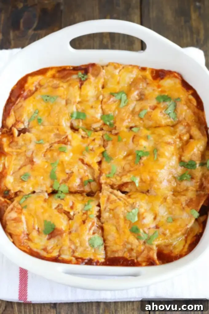 Overhead view of a golden brown, bubbling chicken enchilada casserole in a white baking dish, ready to be served.