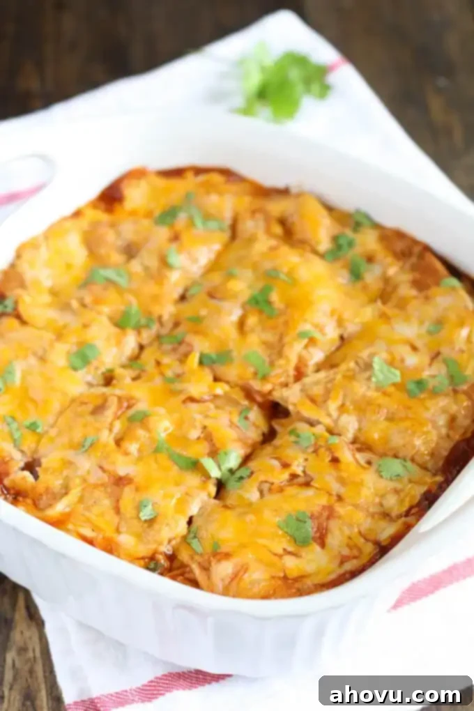 Close-up of a bubbling, cheesy chicken enchilada casserole in a white baking dish, freshly out of the oven.
