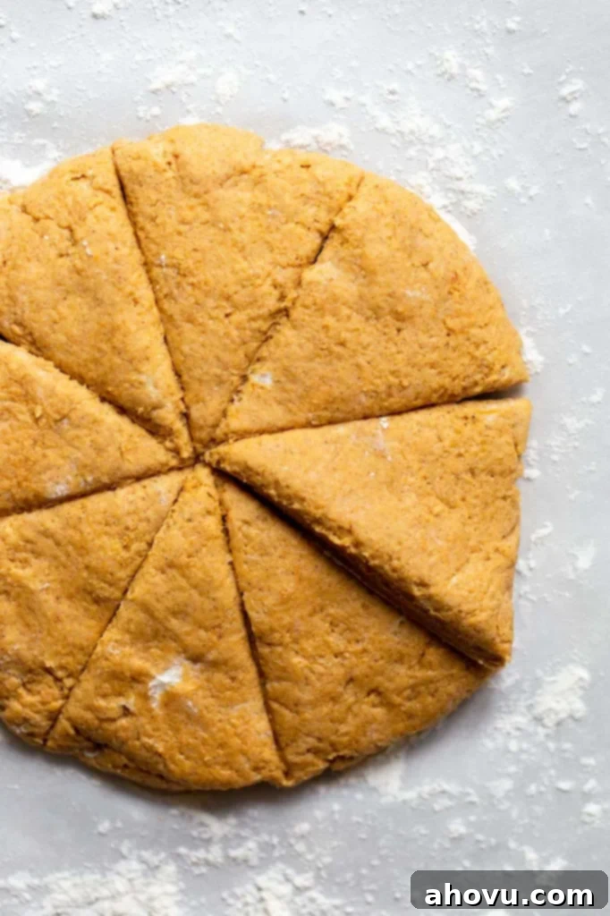 Spiced Pumpkin Scones 3 Pumpkin scone dough expertly formed into a perfect disc and precisely cut into eight equal triangular pieces.