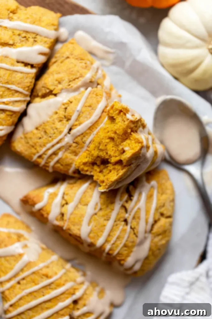 Spiced Pumpkin Scones 5 A perfectly baked pumpkin scone gently broken in half, revealing its incredibly light, soft, and airy interior texture.