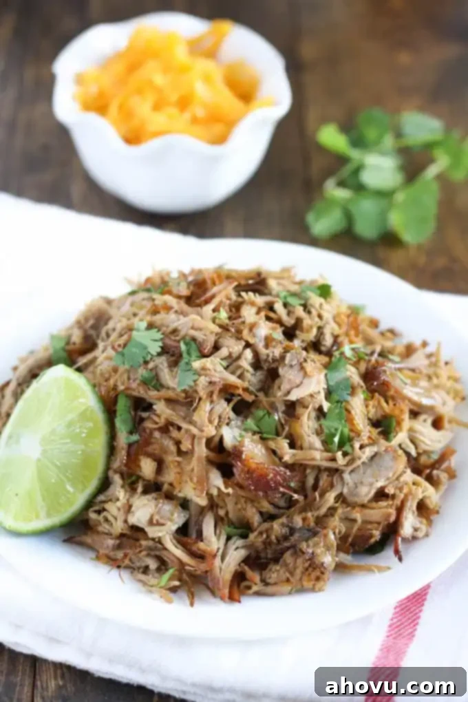 Shredded carnitas meat sitting on a white plate with cilantro and cheese in the background.