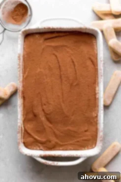 Overhead view of a baking dish of homemade tiramisu. Lady finger cookies are scattered around the dish.