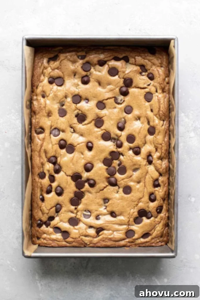 An inviting overhead view of a freshly baked pan of chocolate chip cookie bars, showcasing their golden-brown top and melted chocolate chips before slicing.