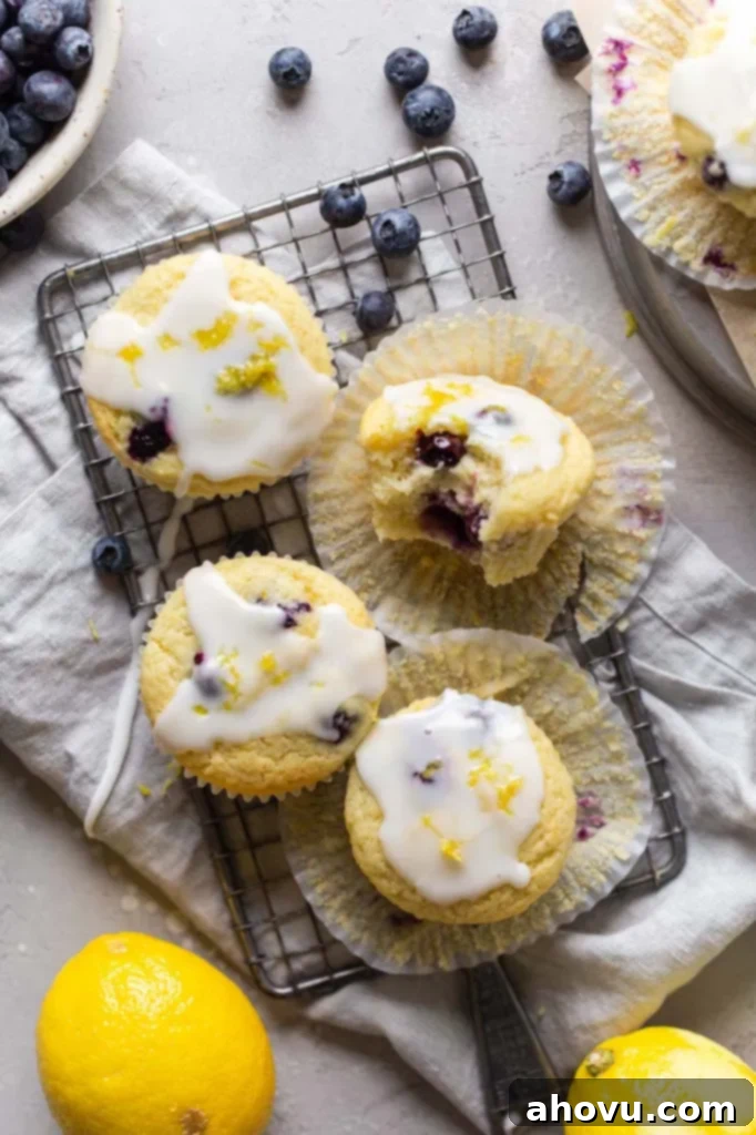 Overhead view of four perfectly glazed lemon blueberry muffins cooling on a wire rack. One muffin has a bite missing. Fresh lemons and scattered blueberries surround the muffins on a rustic surface. 