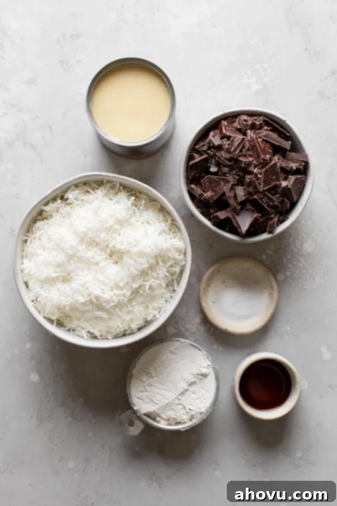 Overhead view of the ingredients needed to make coconut macaroons with sweetened condensed milk, neatly arranged on a counter.