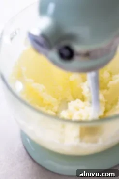 A process shot demonstrating softened butter and granulated sugar being creamed together in the bowl of a stand mixer, beginning the cake batter.