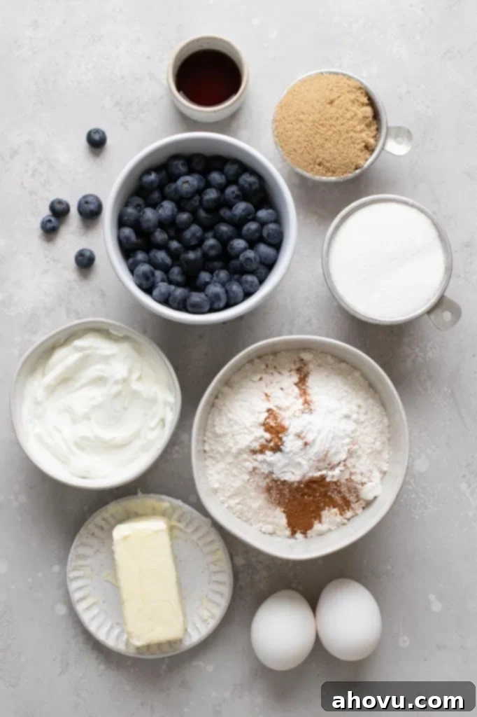 Blueberry Burst Coffee Cake 3 An overhead view of various fresh ingredients laid out on a surface, ready to be used for making a blueberry sour cream coffee cake.