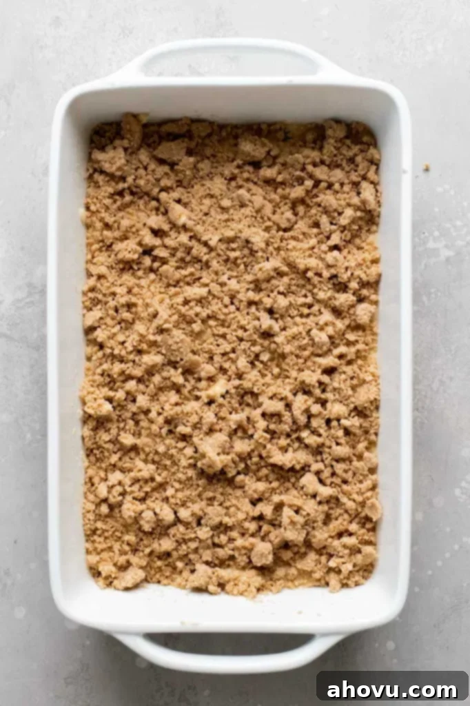 Blueberry Burst Coffee Cake 4 Close-up of thick blueberry coffee cake batter smoothed into a 9x13 inch baking pan, with the streusel topping sprinkled evenly on top.