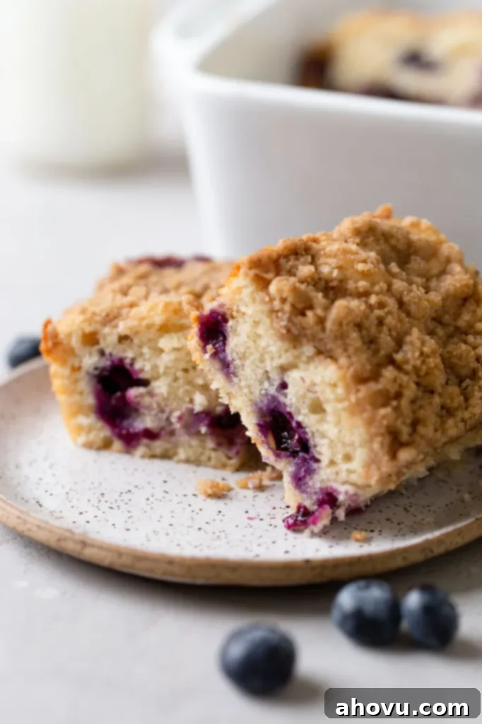 Blueberry Burst Coffee Cake 5 A side view of two slices of moist blueberry coffee cake on a speckled plate, adorned with fresh blueberries in the foreground, with a pan of the remaining cake blurred in the background.