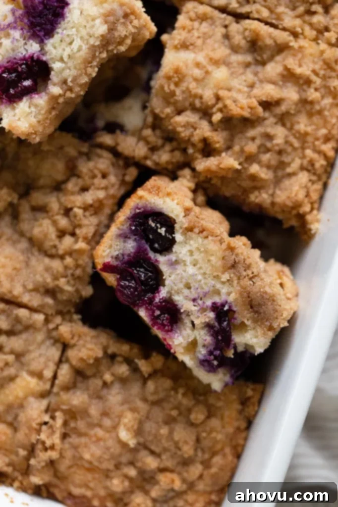 Blueberry Burst Coffee Cake 6 An overhead view of a beautifully baked blueberry streusel coffee cake in a white baking dish, with some slices arranged on their sides to show the interior.