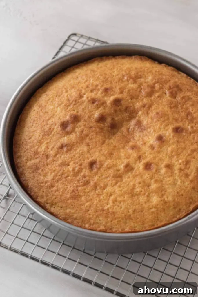 A baked vanilla cake cooling in its pan on top of a cooling rack. 