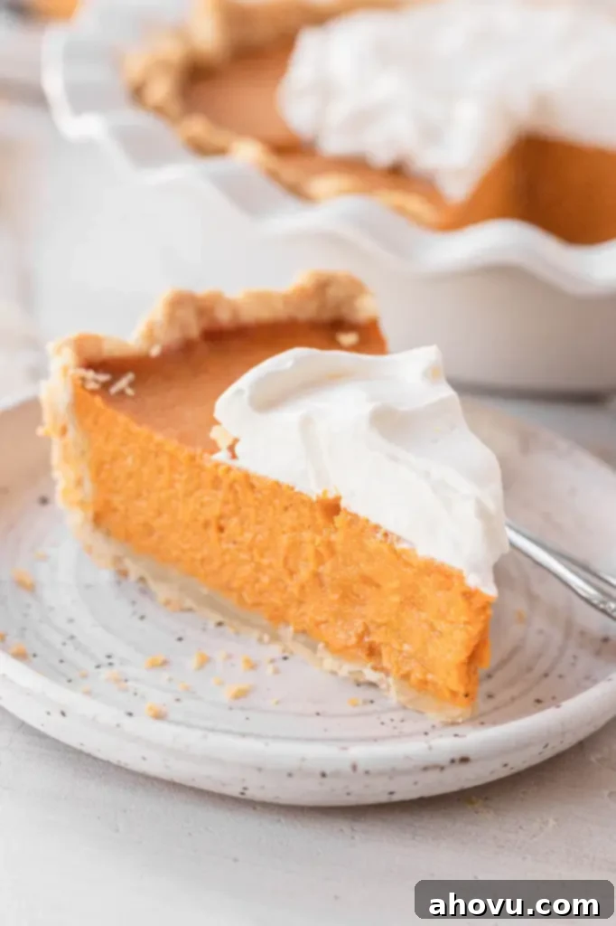 A slice of sweet potato pie topped with whipped cream on a white speckled dessert plate. The rest of the pie rests in the background. 