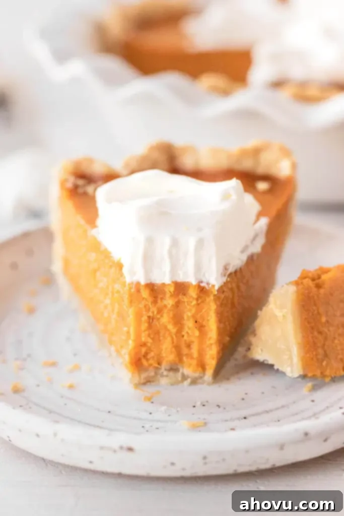 A slice of sweet potato pie topped with whipped cream on a white speckled dessert plate. A bite is missing. The rest of the pie rests in the background. 