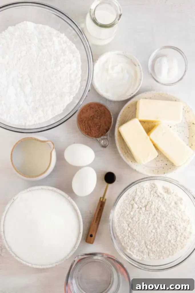 An overhead view of the ingredients needed to make a chocolate sheet cake. 