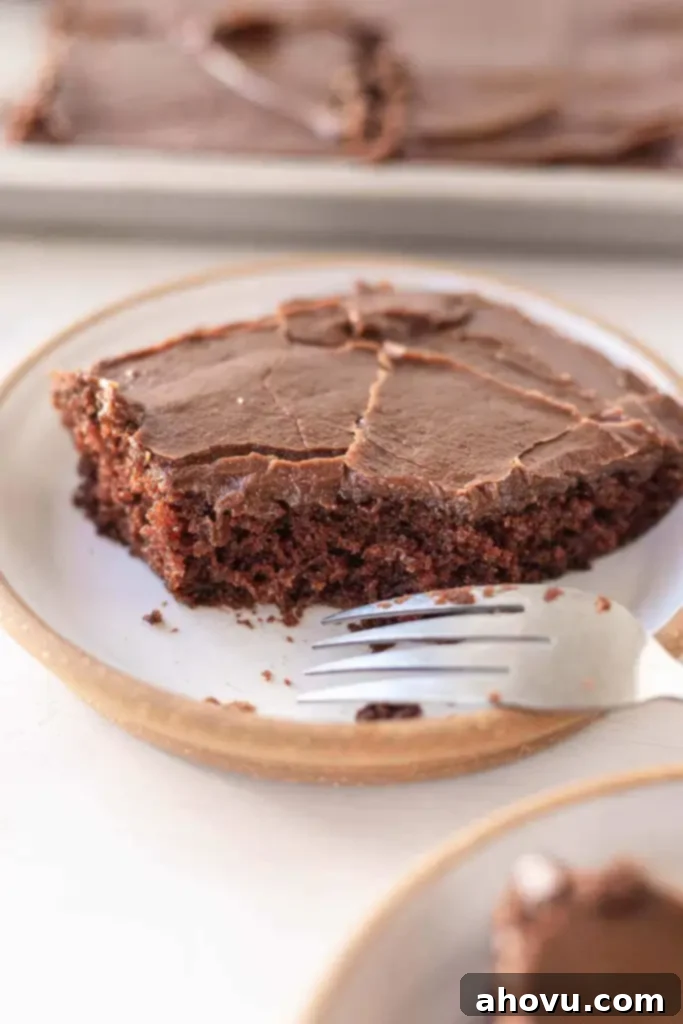 A front view of a piece of Texas chocolate sheet cake with a bite missing on a small white plate. 