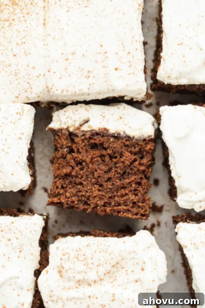 An overhead view of slices of gingerbread cake. One slice is turned on its side. 