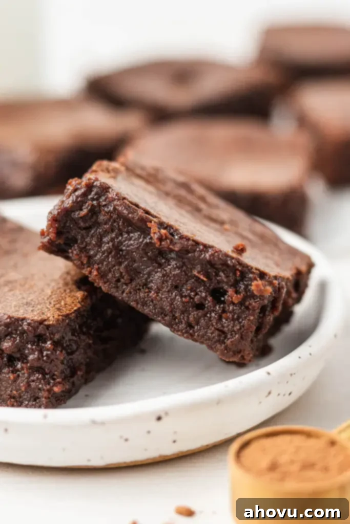 A close-up view of two incredibly fudgy brownies leaning against each other on a pristine white dessert plate, inviting a taste. 