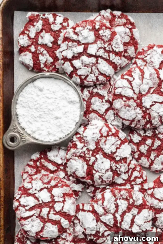 An overhead view of red velvet crinkle cookies piled on a baking sheet. A measuring cup of powdered sugar rests by the cookies. 