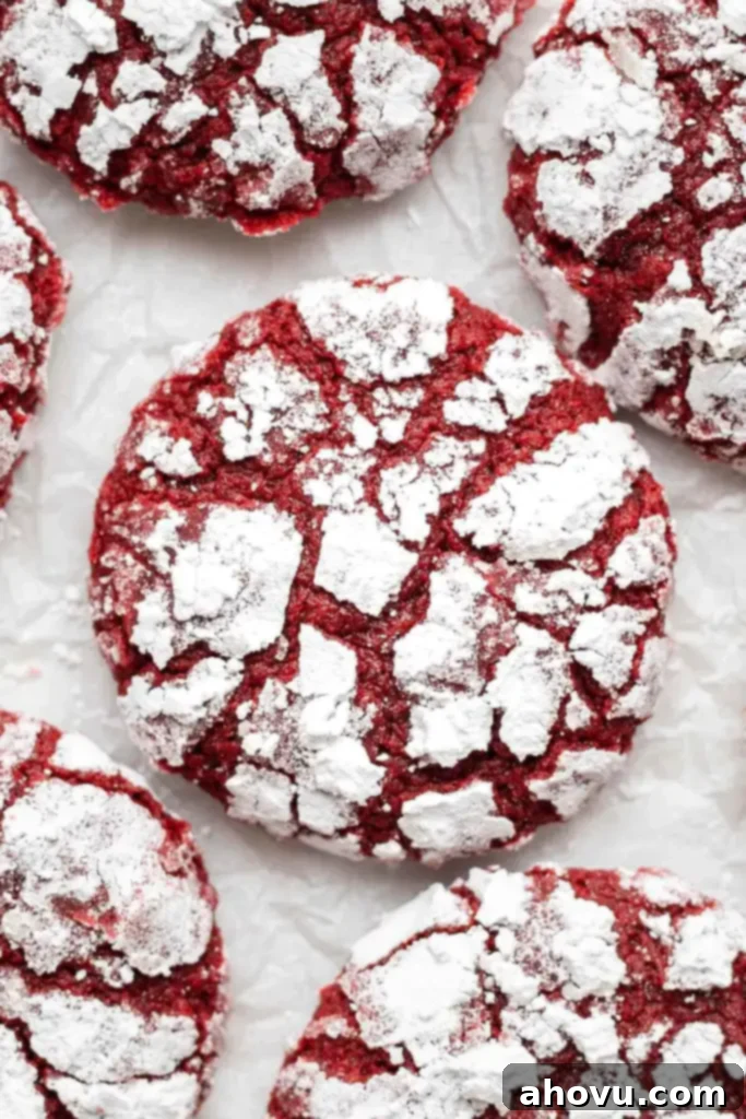 A close up, overhead view of red velvet crinkle cookies on parchment paper. 