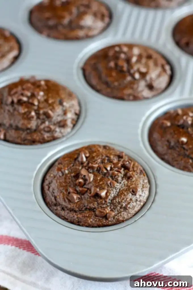 Featherlight Double Chocolate Treats 3 Healthy double chocolate chip muffins in a muffin tin.