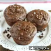 Featherlight Double Chocolate Treats 5 Three healthy chocolate muffins on a white plate.
