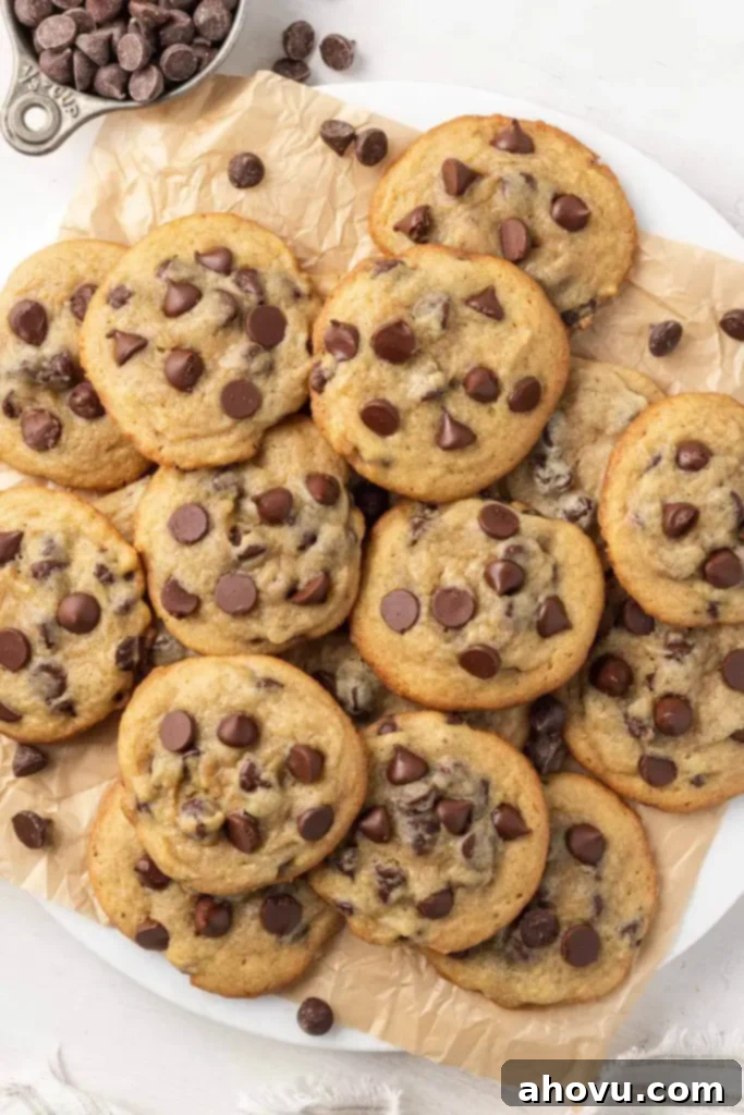 An overhead view of a plate piled high with pudding cookies. 