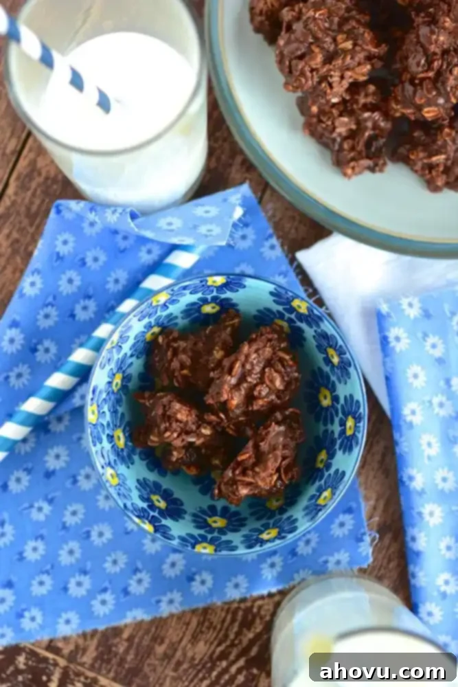 No-Bake Nutella Cookies