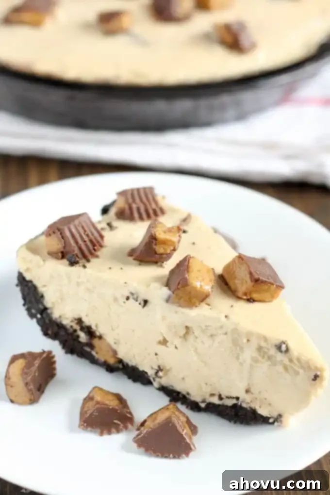 No Bake Peanut Butter Pie