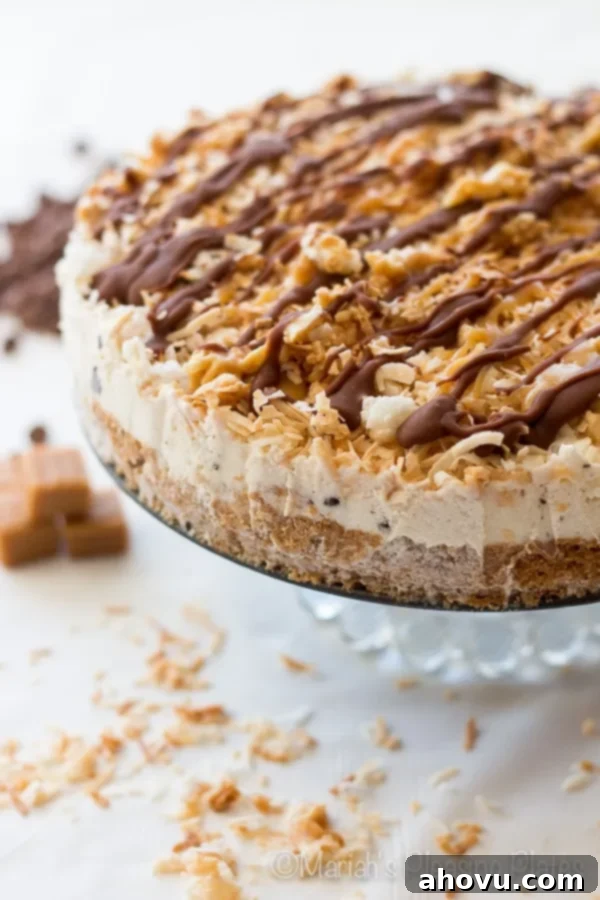 Samoa Ice Cream Cake