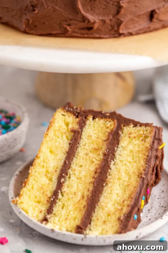 A perfectly portioned slice of yellow cake served on a elegant white speckled plate. The remaining frosted cake is visible on a cake stand in the soft background, inviting another taste.