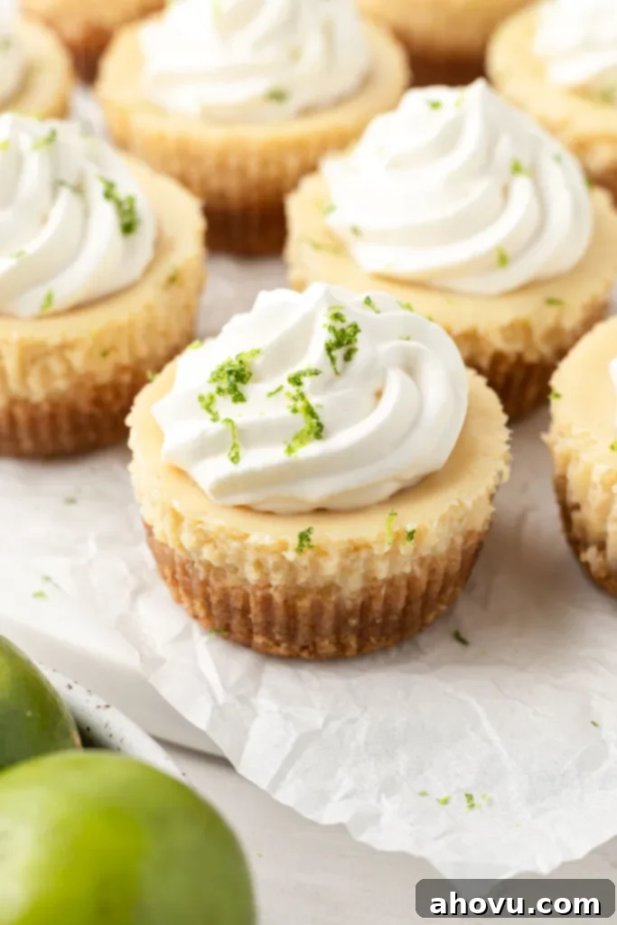 Mini key lime pies on a parchment paper-lined plate. 