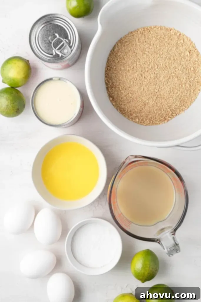 An overhead view of the ingredients needed to make mini key lime pie bites. 