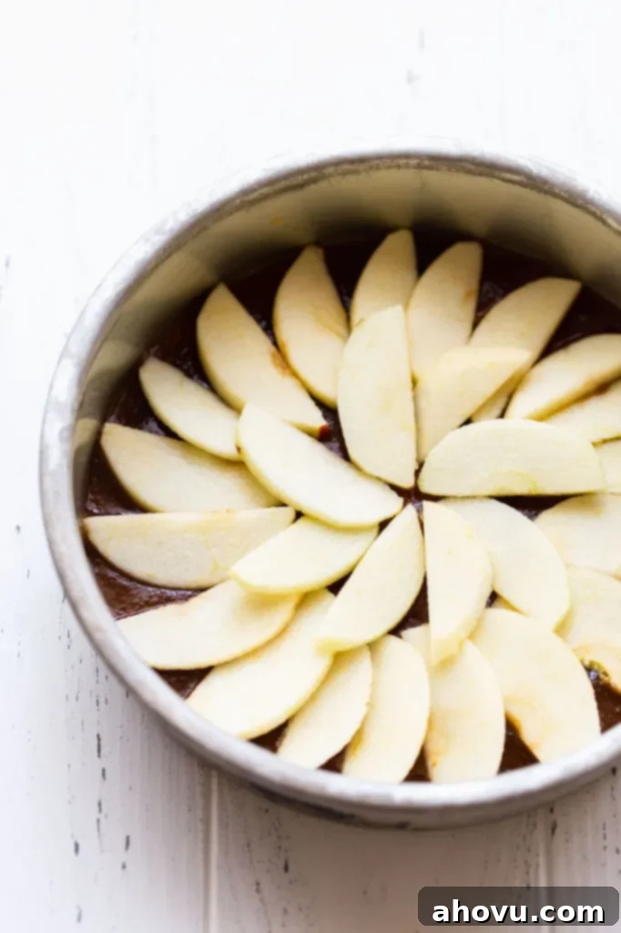 A round metal baking dish holding the glistening caramel topping and thinly sliced apples meticulously arranged into a perfect circle, ready for the cake batter.