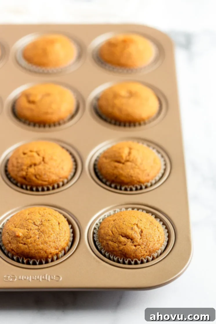 A close-up shot of a 12-cup muffin pan, brimming with golden-brown pumpkin cupcakes, fresh out of the oven and cooling in their liners.