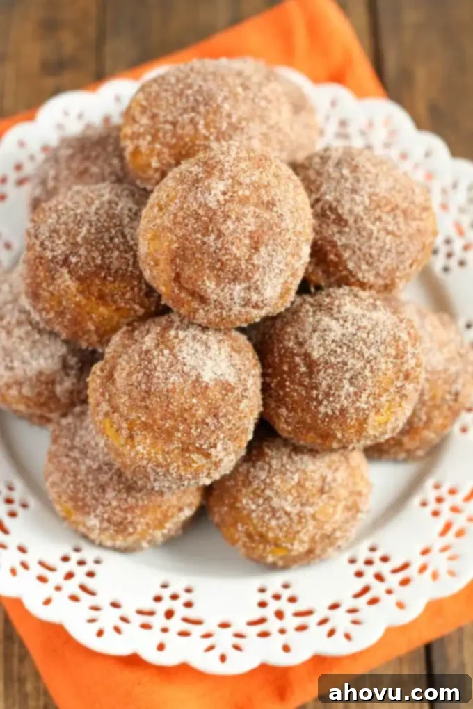 Spiced Pumpkin Doughnut Poppers 2 Baked Pumpkin Donut Holes