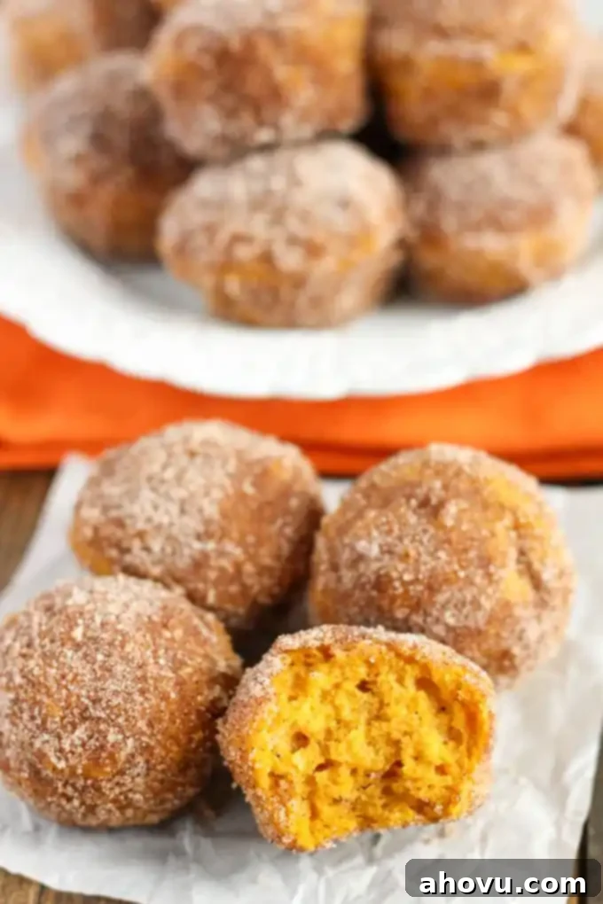 Spiced Pumpkin Doughnut Poppers 4 Baked Pumpkin Donut Holes