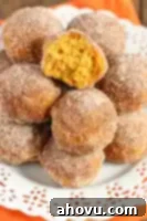 Spiced Pumpkin Doughnut Poppers 5 Baked Pumpkin Donut Holes
